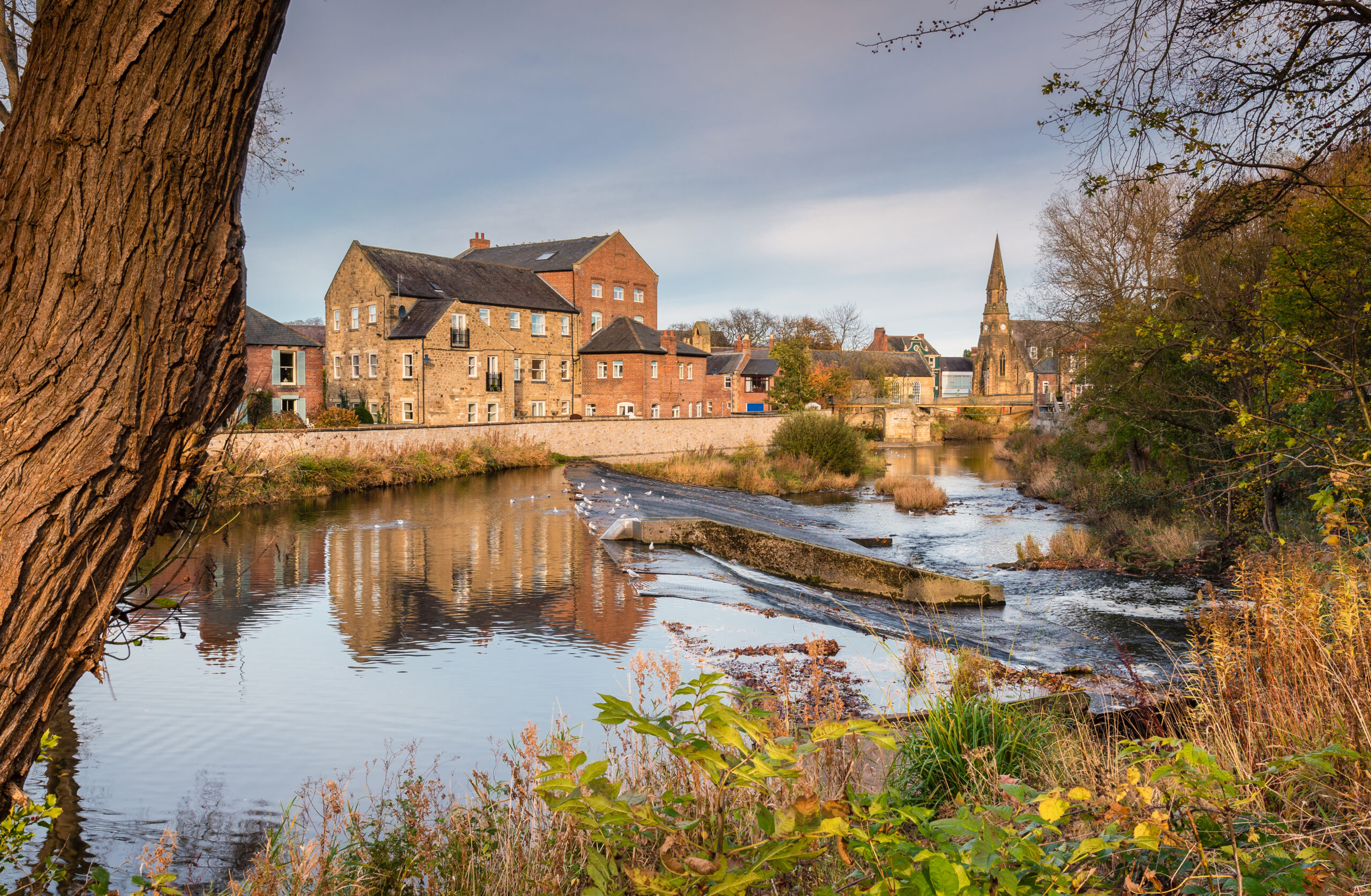 Image of a river with a small waterfall, surrounded by Trees and buildings in Morpeth where we do Pat Testing